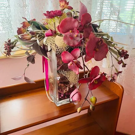 Apartman Alena Ostrava