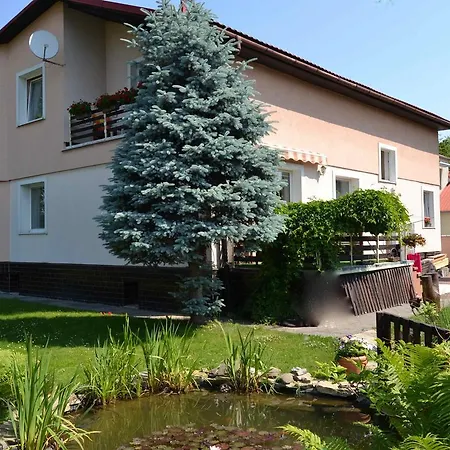 Ubytovani Alena Apartment *