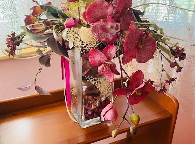 アパート Alena オストラヴァ