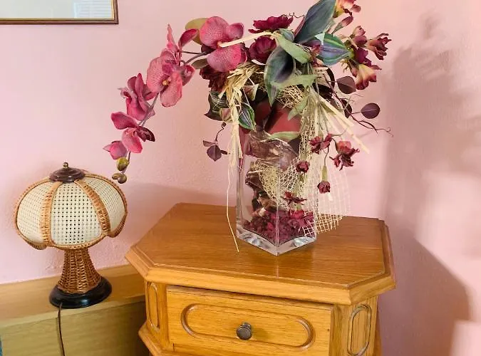 Alena アパート *