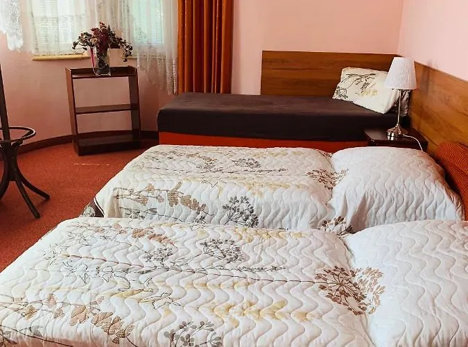 Alena オストラヴァ