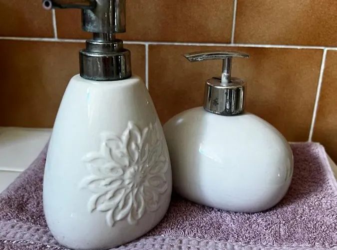 Alena Appartement Ostrava